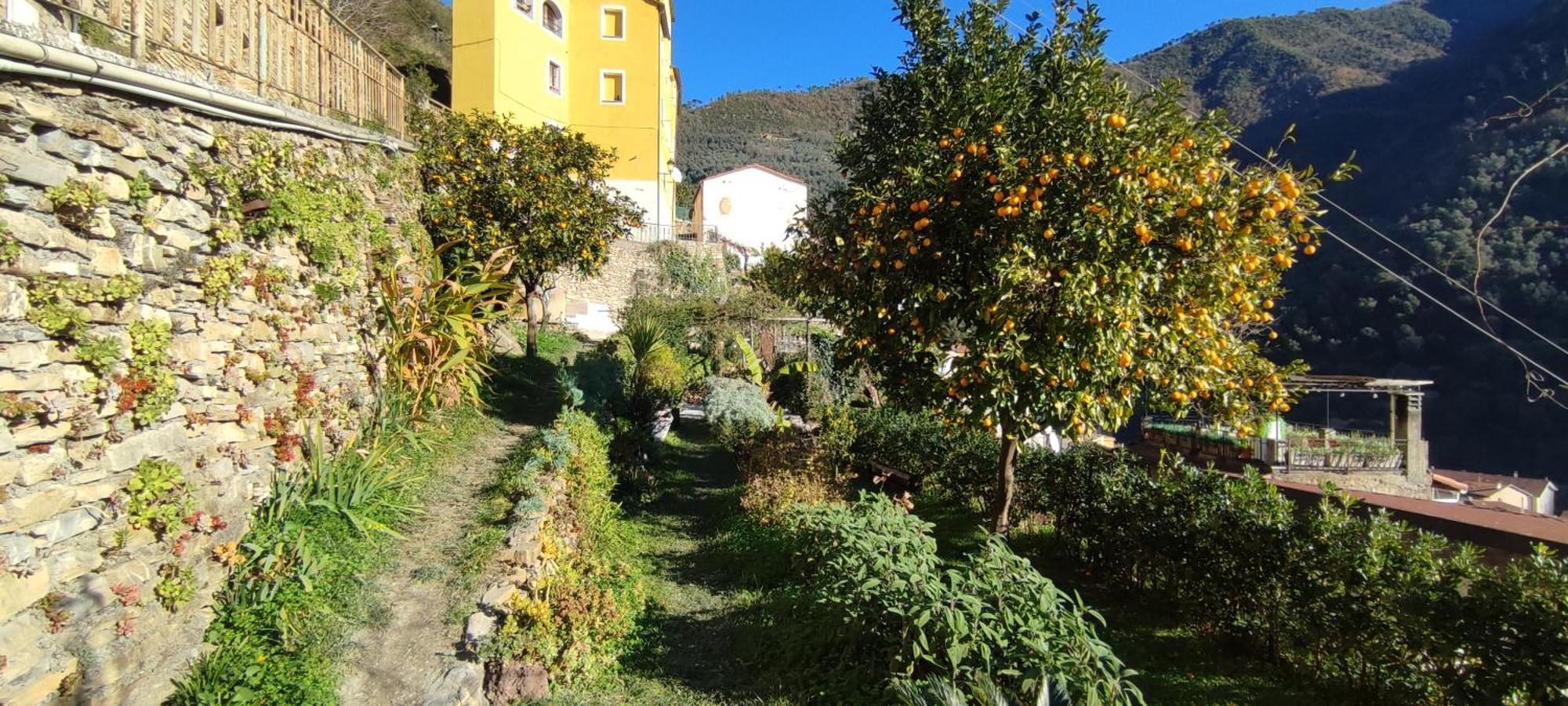 Casa Pablo Villa Badalucco Eksteriør bilde
