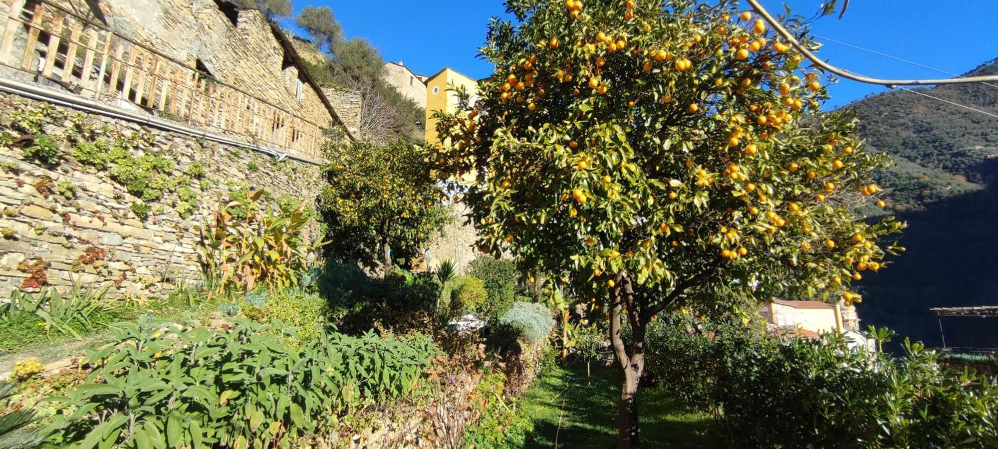 Casa Pablo Villa Badalucco Eksteriør bilde