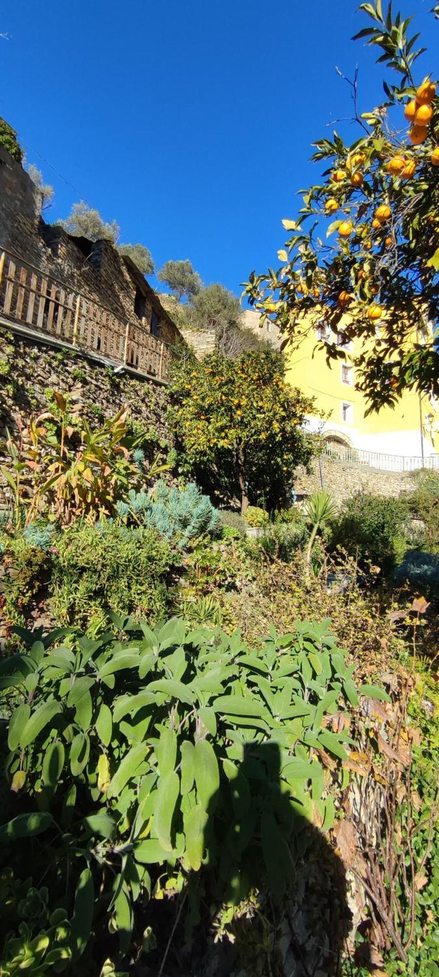 Casa Pablo Villa Badalucco Eksteriør bilde