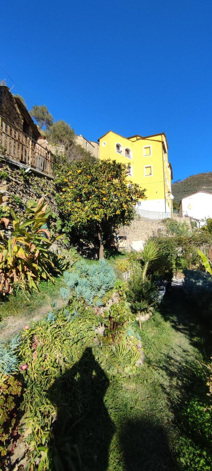 Casa Pablo Villa Badalucco Eksteriør bilde